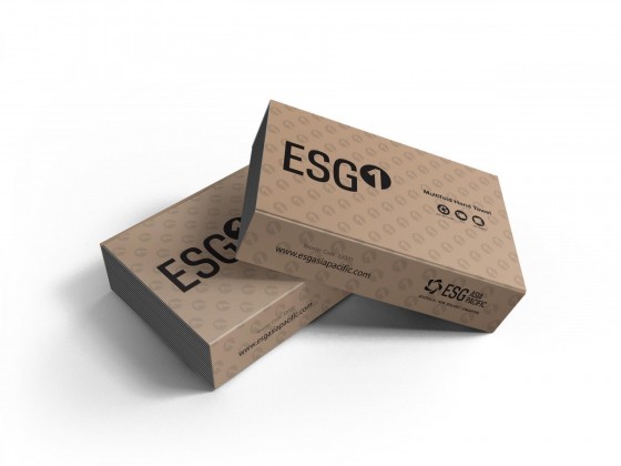 ESG Recycled Slimfold Paper Towel 3840 Sheets