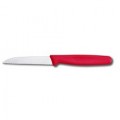 PARING KNIFE - serrated