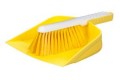 Hygiene Brush & Pan Set