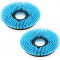 Bristle Brush (Set Of 2)