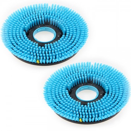 Bristle Brush (Set Of 2)