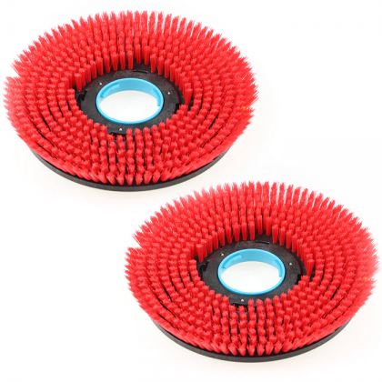 Bristle Brush (Set Of 2)