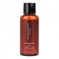 Therapy Range Body