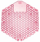 Caskade Urinal Screen Kiwi Grapefruit - Twin Pack